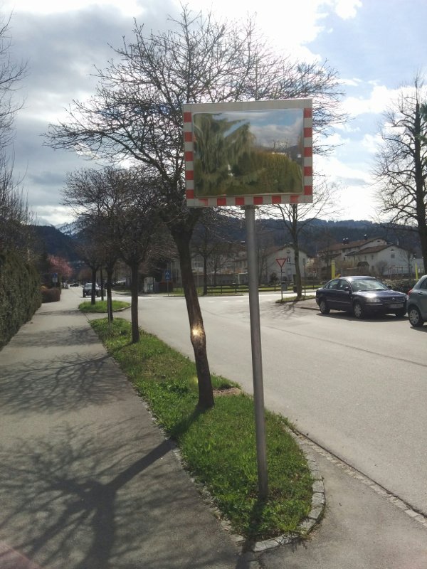 Baum mit Verkehrsspiegel